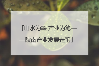 山水为墨 产业为笔——陕南产业发展走笔