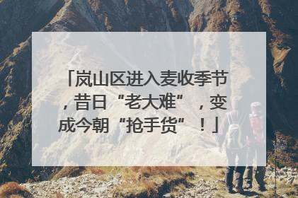 岚山区进入麦收季节，昔日“老大难”，变成今朝“抢手货”！