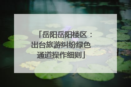 岳阳岳阳楼区：出台旅游纠纷绿色通道操作细则