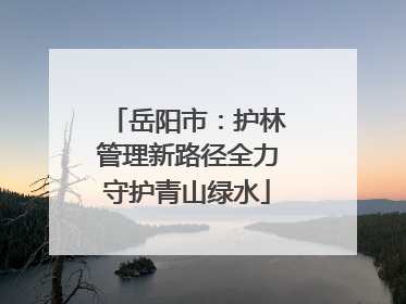 岳阳市：护林管理新路径全力守护青山绿水