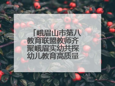 峨眉山市第八教育联盟教师齐聚峨眉实幼共探幼儿教育高质量发展新路径