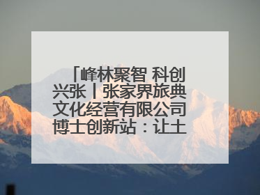 峰林聚智 科创兴张丨张家界旅典文化经营有限公司博士创新站：让土家织锦“智”造出非遗新传奇