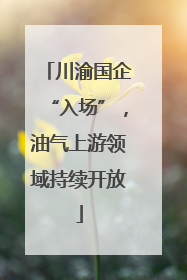 川渝国企“入场”，油气上游领域持续开放