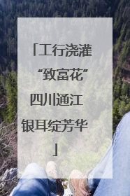 工行浇灌“致富花” 四川通江银耳绽芳华