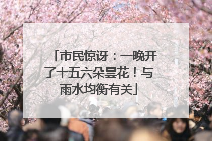 市民惊讶：一晚开了十五六朵昙花！与雨水均衡有关