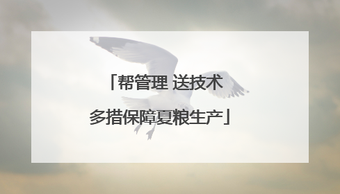 帮管理 送技术 多措保障夏粮生产
