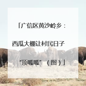 广信区黄沙岭乡：西瓜大棚让村民日子“顶呱呱”（图）