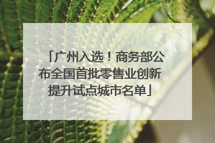 广州入选！商务部公布全国首批零售业创新提升试点城市名单