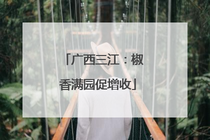 广西三江：椒香满园促增收