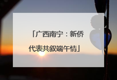 广西南宁：新侨代表共叙端午情
