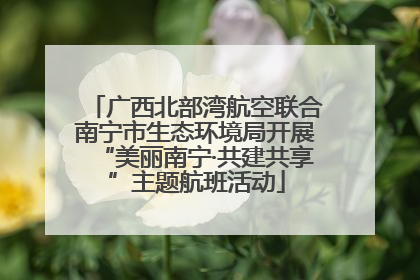 广西北部湾航空联合南宁市生态环境局开展“美丽南宁·共建共享”主题航班活动