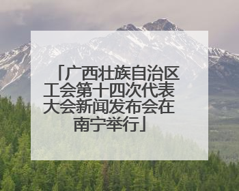 广西壮族自治区工会第十四次代表大会新闻发布会在南宁举行