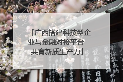 广西搭建科技型企业与金融对接平台 共育新质生产力