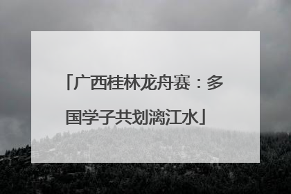 广西桂林龙舟赛：多国学子共划漓江水
