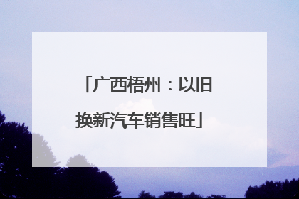 广西梧州：以旧换新汽车销售旺