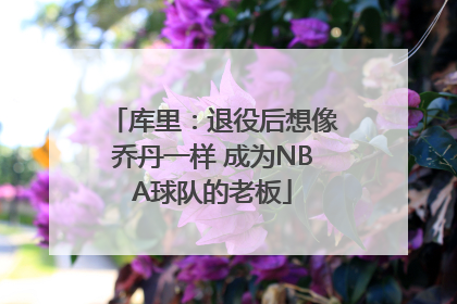 库里：退役后想像乔丹一样 成为NBA球队的老板
