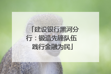 建设银行黑河分行：锻造先锋队伍 践行金融为民