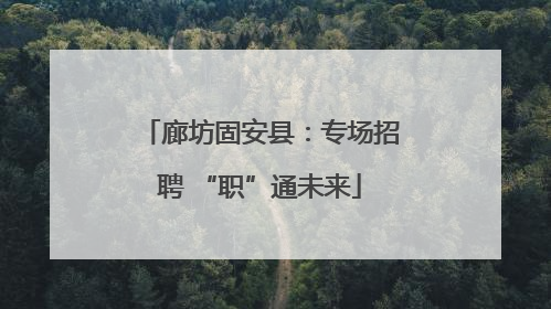 廊坊固安县：专场招聘 “职”通未来