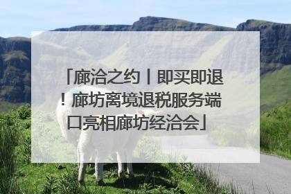 廊洽之约丨即买即退！廊坊离境退税服务端口亮相廊坊经洽会