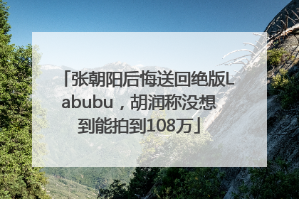 张朝阳后悔送回绝版Labubu，胡润称没想到能拍到108万