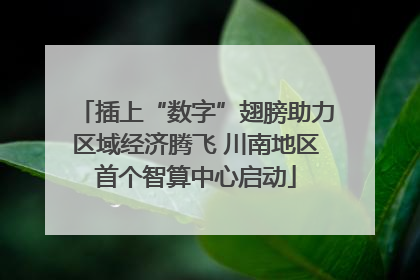 插上“数字”翅膀助力区域经济腾飞 川南地区首个智算中心启动