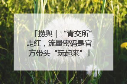 捞舆｜“青交所”走红，流量密码是官方带头“玩起来”