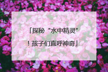 探秘“水中精灵”！孩子们直呼神奇