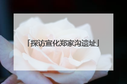 探访宣化郑家沟遗址