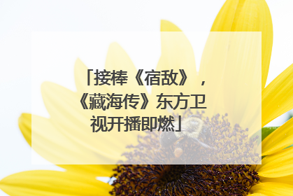 接棒《宿敌》，《藏海传》东方卫视开播即燃