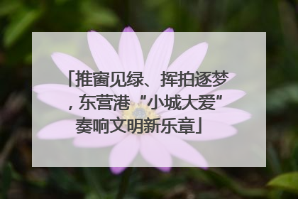 推窗见绿、挥拍逐梦，东营港“小城大爱”奏响文明新乐章