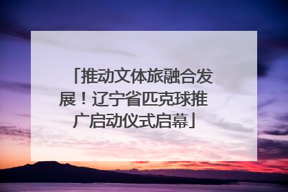 推动文体旅融合发展！辽宁省匹克球推广启动仪式启幕