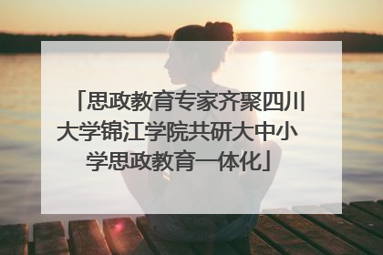 思政教育专家齐聚四川大学锦江学院共研大中小学思政教育一体化