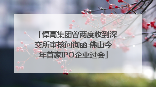 悍高集团曾两度收到深交所审核问询函 佛山今年首家IPO企业过会