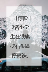 惊险！2名小学生在铁轨摆石头逼停高铁