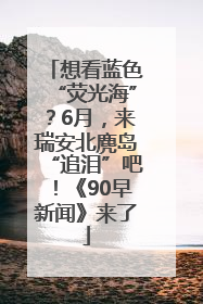 想看蓝色“荧光海”？6月，来瑞安北麂岛“追泪”吧！《90早新闻》来了