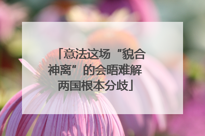 意法这场“貌合神离”的会晤难解两国根本分歧
