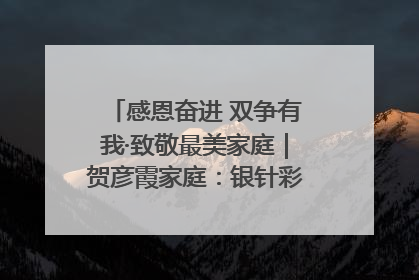 感恩奋进 双争有我·致敬最美家庭｜贺彦霞家庭：银针彩线绣出好日子