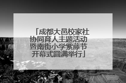 成都大邑校家社协同育人主题活动暨南街小学紫藤节开幕式圆满举行