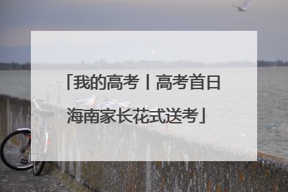 我的高考丨高考首日 海南家长花式送考