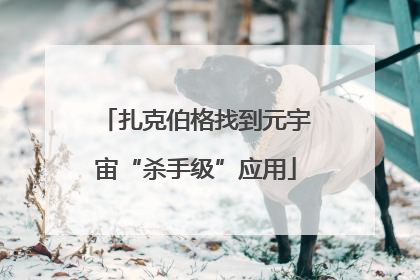 扎克伯格找到元宇宙“杀手级”应用