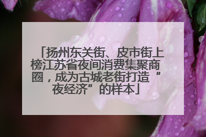 扬州东关街、皮市街上榜江苏省夜间消费集聚商圈，成为古城老街打造“夜经济”的样本