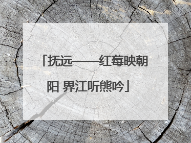 抚远——红莓映朝阳 界江听熊吟