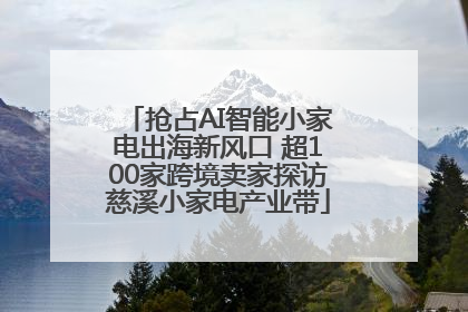 抢占AI智能小家电出海新风口 超100家跨境卖家探访慈溪小家电产业带
