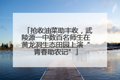 抢收油菜助丰收，武陵源一中数百名师生在黄龙洞生态田园上演“青春助农记”
