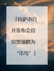 拉萨市召开发布会官宣黑颈鹤为“市鸟”