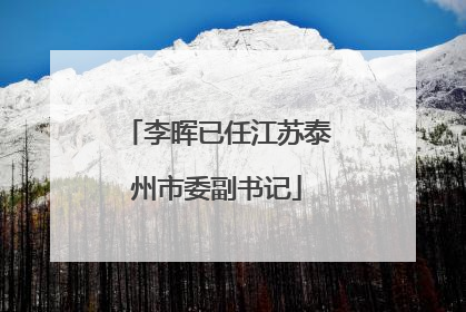 李晖已任江苏泰州市委副书记