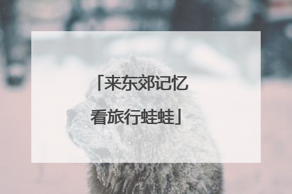 来东郊记忆 看旅行蛙蛙