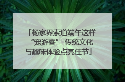 杨家界索道端午这样“宠游客” 传统文化与趣味体验点亮佳节