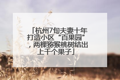 杭州7旬夫妻十年打造小区“百果园”，两棵猕猴桃树结出上千个果子
