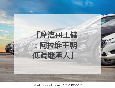 摩洛哥王储：阿拉维王朝低调继承人